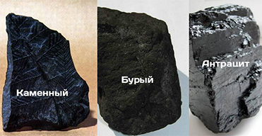Виды